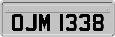 OJM1338