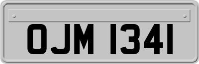 OJM1341