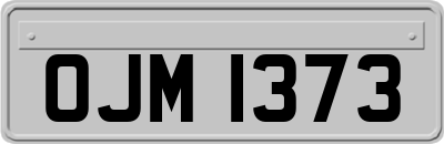 OJM1373
