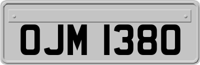 OJM1380