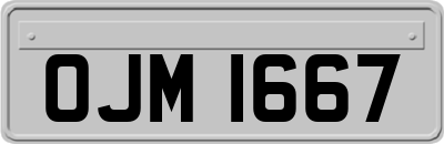 OJM1667