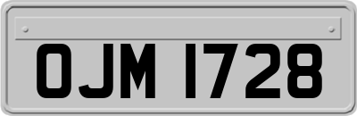 OJM1728