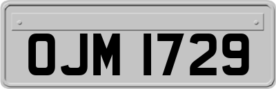 OJM1729