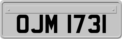 OJM1731