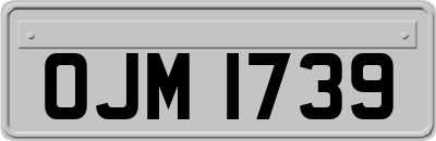 OJM1739