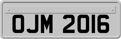 OJM2016