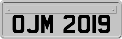 OJM2019