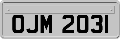 OJM2031