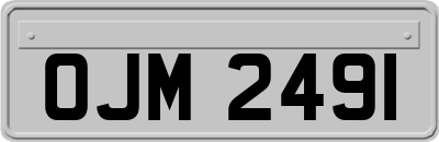 OJM2491