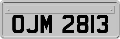 OJM2813