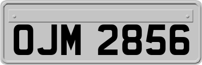 OJM2856