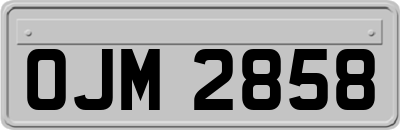 OJM2858