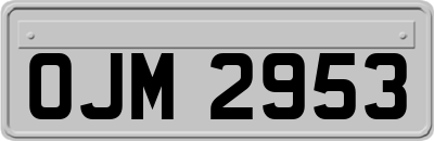 OJM2953