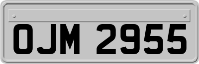 OJM2955