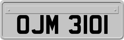 OJM3101