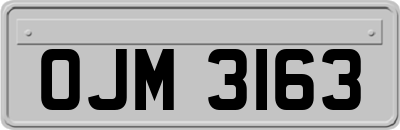 OJM3163