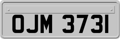 OJM3731
