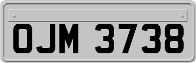 OJM3738