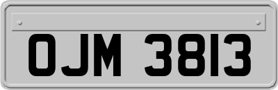 OJM3813
