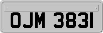 OJM3831