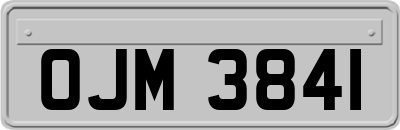 OJM3841