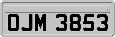 OJM3853