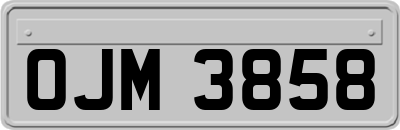OJM3858