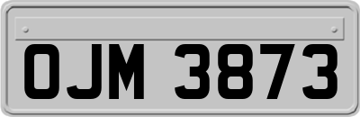OJM3873