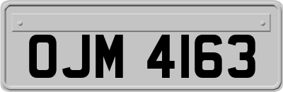 OJM4163