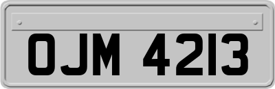 OJM4213