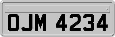 OJM4234