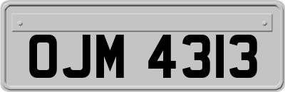 OJM4313