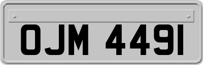 OJM4491