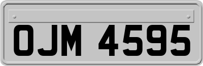 OJM4595