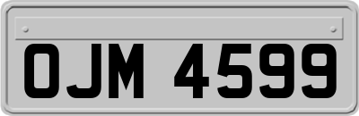 OJM4599