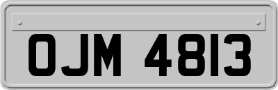 OJM4813