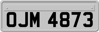OJM4873