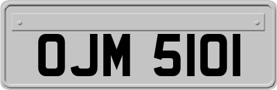 OJM5101