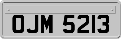 OJM5213