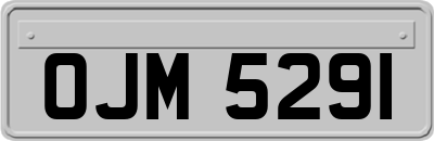 OJM5291