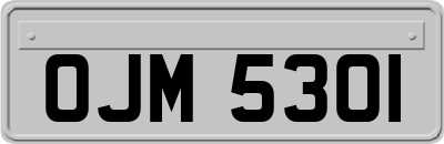 OJM5301