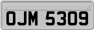 OJM5309