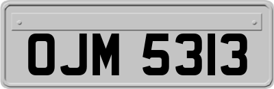 OJM5313
