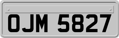 OJM5827