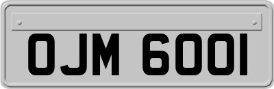 OJM6001
