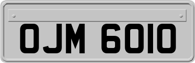 OJM6010