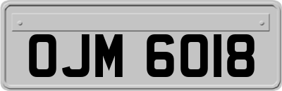 OJM6018