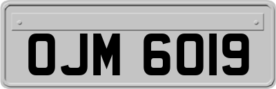 OJM6019
