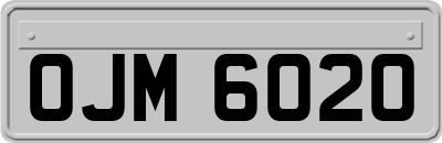 OJM6020