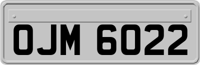 OJM6022